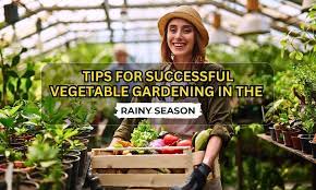 Essential Rainy Season Gardening Tips