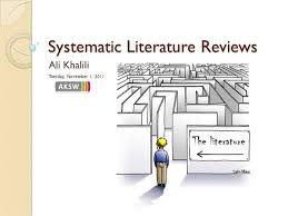 Organize Key Findings   How to Conduct a Literature Review  Health     SlideShare