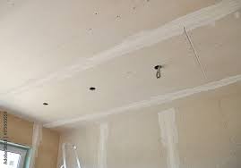 Ceiling Construction And Repair With