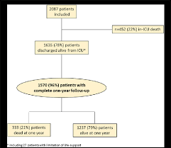 Study Flow Chart Including 27 Patients With Limitation Of