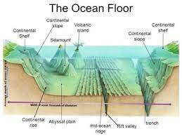 ocean floor review diagram quizlet