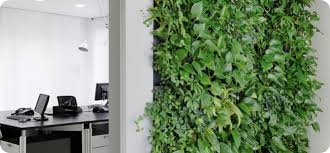 Indoor Living Wall Art Installation