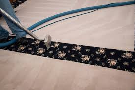 Image result for Rug Cleaning