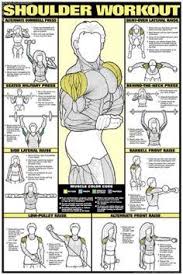Printable Muscle Building Workout Chart Google Search