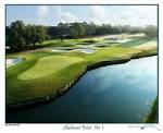 Shalimar Pointe Golf Club | Shalimar FL