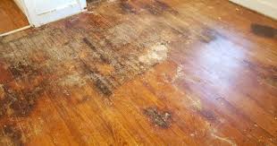how to fix water damaged wood floors