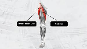 direct anterior approach total hip