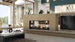 Escea Ds1650 Gas Fireplace Gatmans Mowers