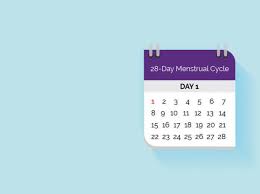 Your Menstrual Cycle Womenshealth Gov