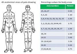 What Does Pain In Ms Feel Like A Multicenter Cross