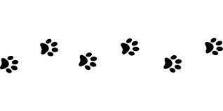Image result for dog prints