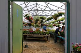 Channahon Greenhouse Offers Summertime