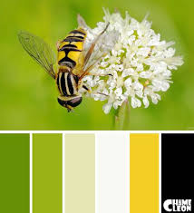 Color Palette Yellow Pale Green
