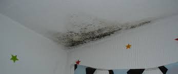 What Causes Damp In Bedroom How To