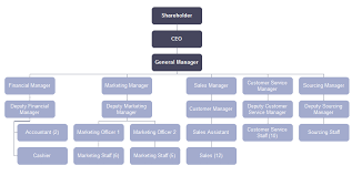 General Introduction To Vertical Organizational Structure