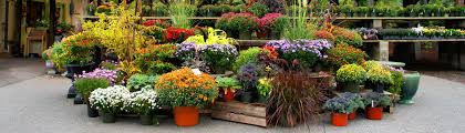 about herbeins garden center