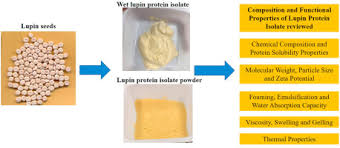lupin protein isolation and techno