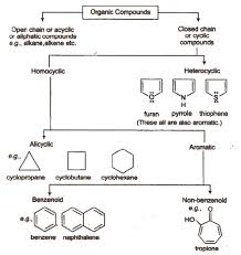 Cbse Class 11 Chemistry Notes General Organic Chemistry