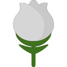 white rose discord emoji
