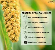 foxtail millet nutrition benefits