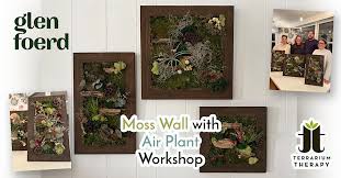 Moss Wall With Air Plant Work