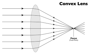 Image result for how does the action of a convex lens differ from that of concave lens on the parallel beam of light incident on them draw the diagram to illustrate your answer