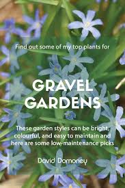 Top 9 Plants For Gravel Gardens David