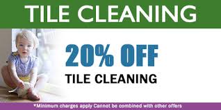 carpet cleaning specials ca bnk chemdry