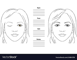 woman face chart royalty free vector