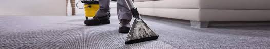 14 best sf carpet rug cleaners to