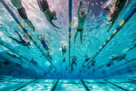 dryland training for swimmers