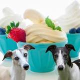 can-dogs-have-vanilla-frozen-yogurt