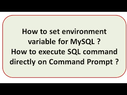 set environment variable for mysql