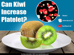 Can Kiwi Increase Platelet