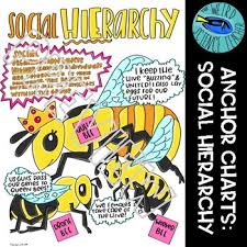 Social Hierarchy Worksheets Teaching Resources Tpt