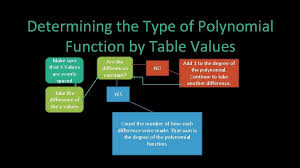 polynomials functions polynomial