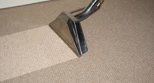 carpet cleaning steam pro carpet care