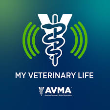 My Veterinary Life