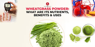 wheatgr powder what are its