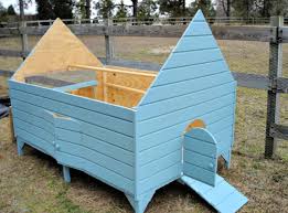 See more ideas about duck house, chickens backyard, duck. Tips For Building Or Buying A Chicken Coop Fresh Eggs Daily