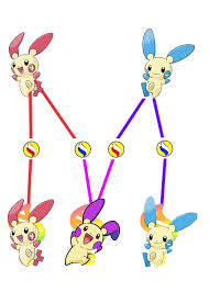 Images Of Plusle And Minun Evolution Chart Www Industrious