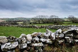 Landscape With Dry Stone Wall Dividing