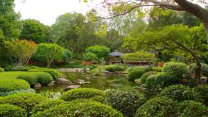 brisbane city botanic gardens in