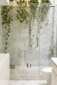 30 Bathroom Plants For You Indoor