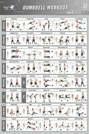 13 Bodybuilding Guide Fitness Gym Dumbbell Workout Exercise Poster 12x18 20x30in