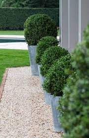 Row Of Planters Outdoor Gardens