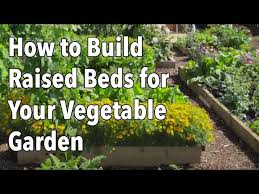 How To Build Raised Beds For Your