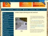 magic carpet cleaning reviews read