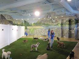 Doggie Daycare...And More gambar png