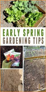 Spring Gardening In The Pacific Nw
